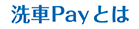 洗車Payとは